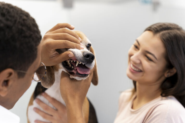 close-up-veterinarian-taking-care-pet