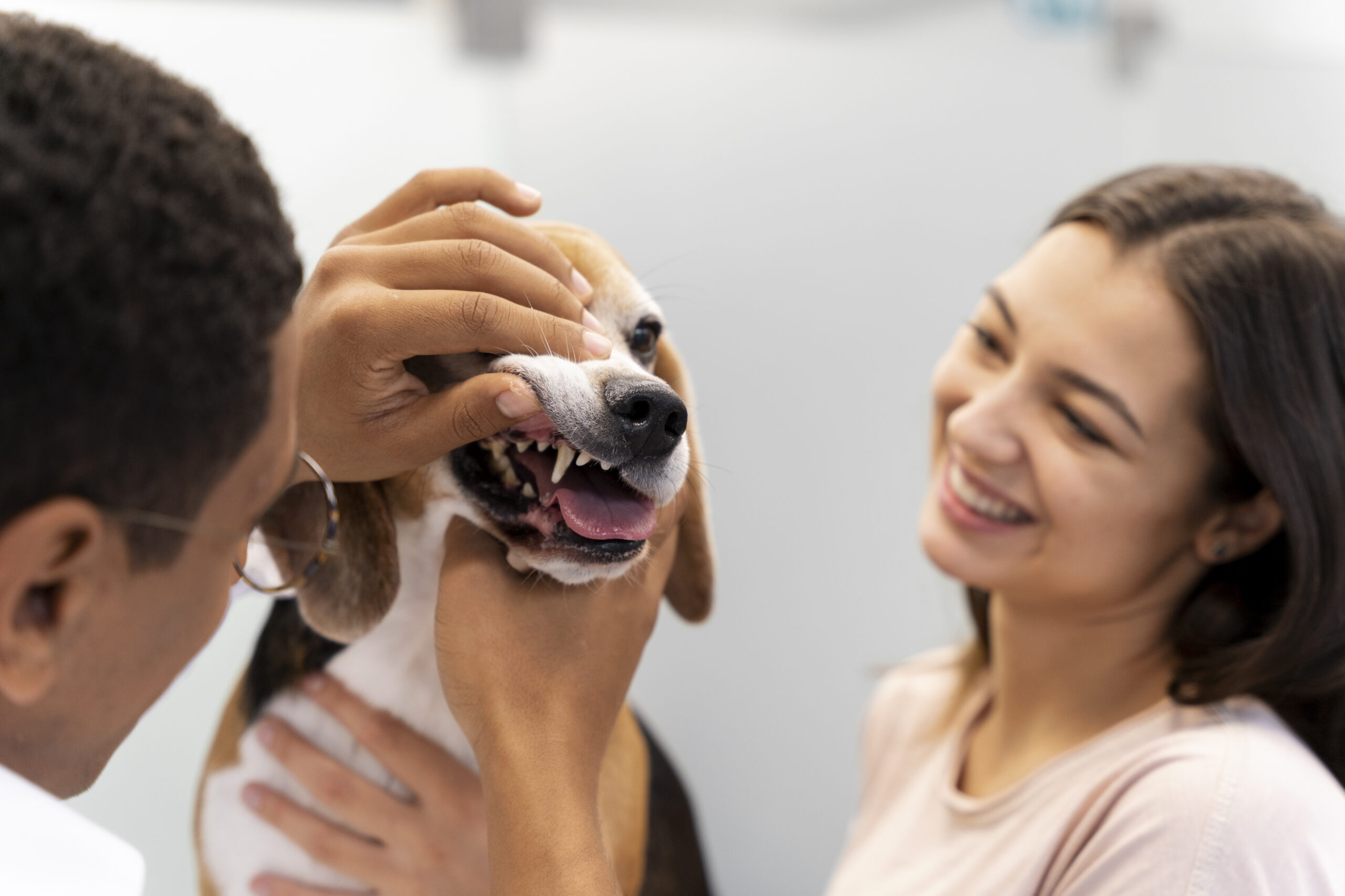 close-up-veterinarian-taking-care-pet