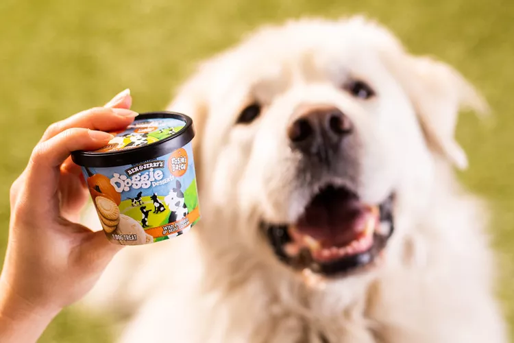 ben-and-jerrys-with-dog-face-2000-cc07e2d8d1044541ac9e6d3cf8bc9e34