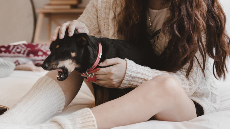 crop-woman-petting-dog