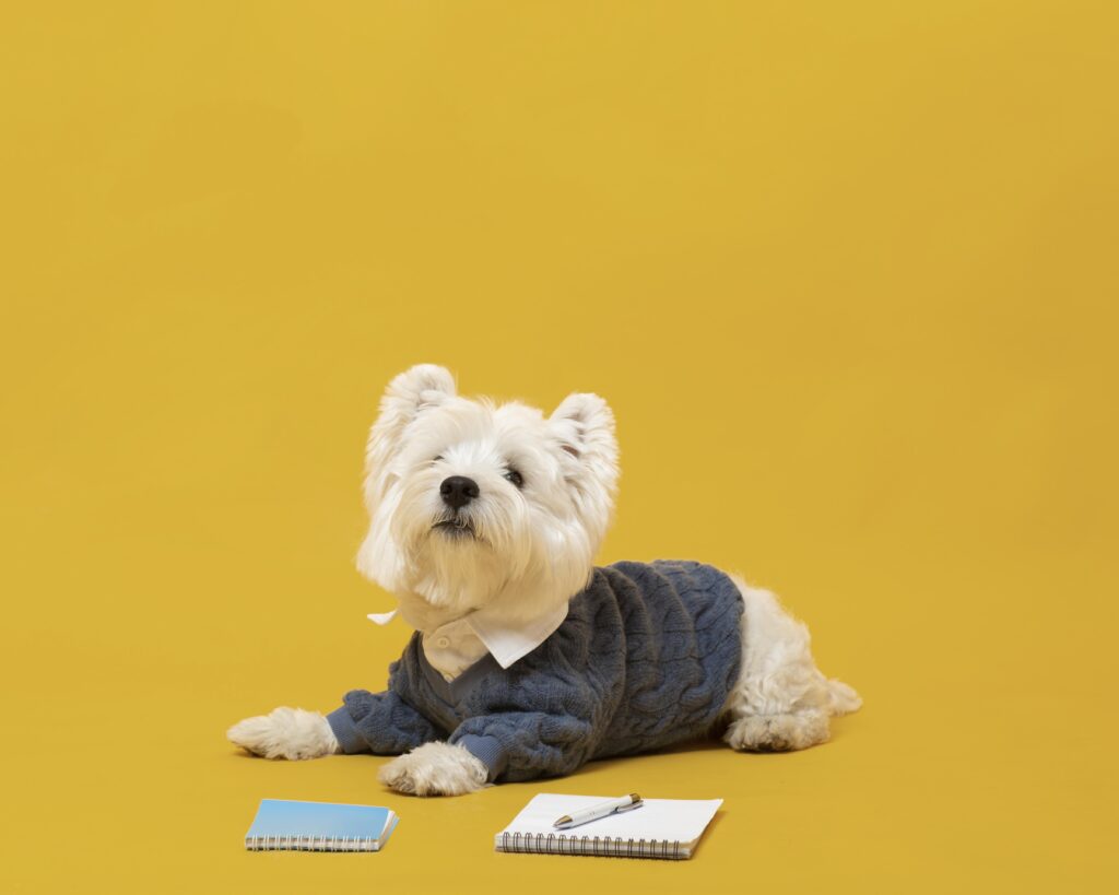 cute-little-dog-impersonating-business-person