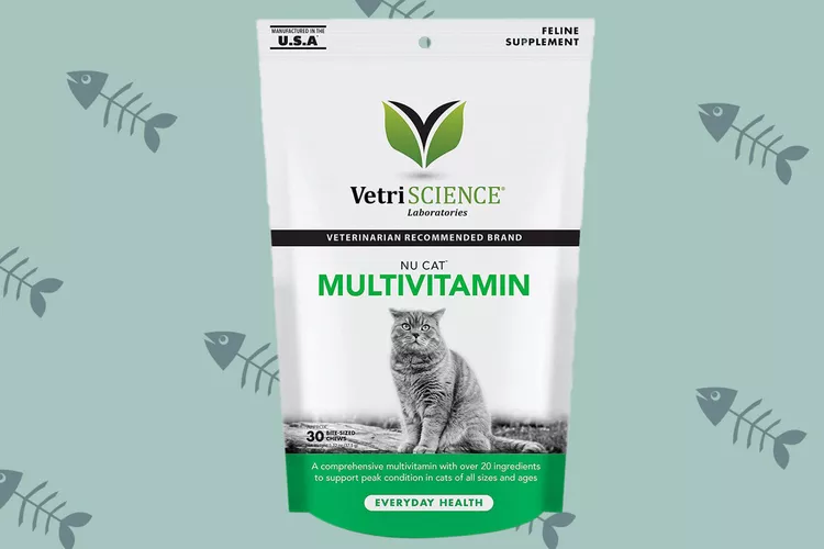 cat-supplement-2000-bf4ae76000704d388fadcb549f13e7e9