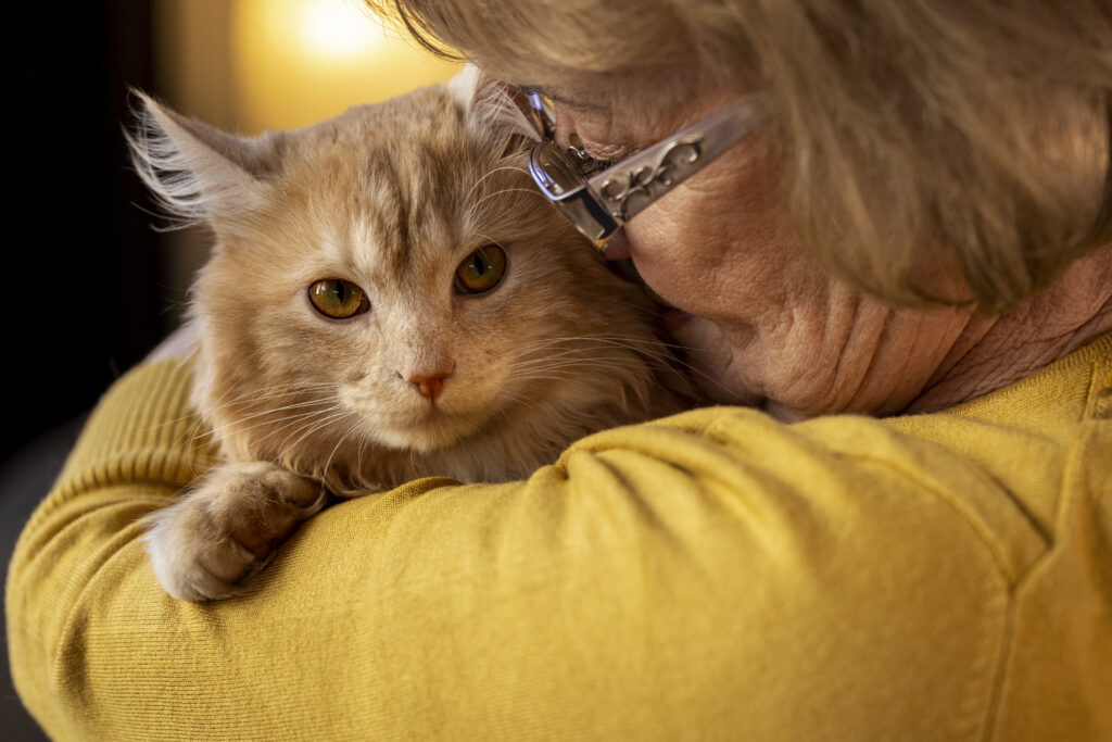 elderly-person-with-pet-cat