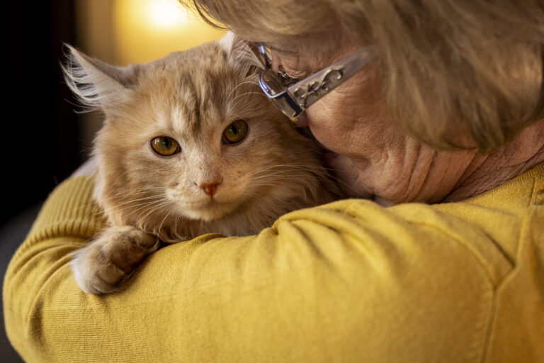 elderly-person-with-pet-cat