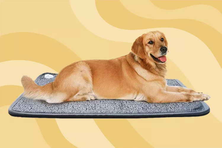 dog-heating-pad-86eb333f950b4aa98c9ee77a9d92a107