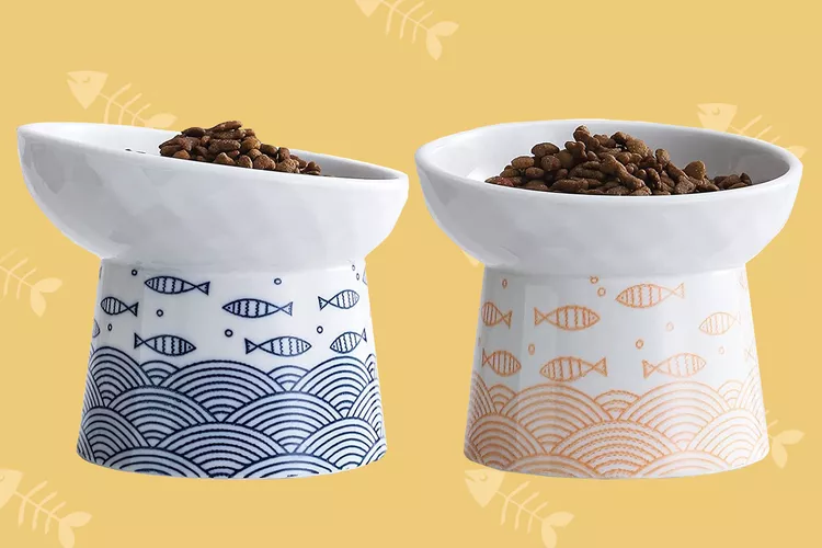 elevated-cat-bowls-2-92ecf05857df4a4ebd990a8b0c99819e