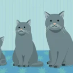 when-do-kittens-stop-growing-2000-7a6ccff182c04e3580225ee412644bc2