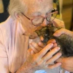 senior-in-pink-with-kitten-hero-2000-c005a49649714494aaa6c769f03fbd2d