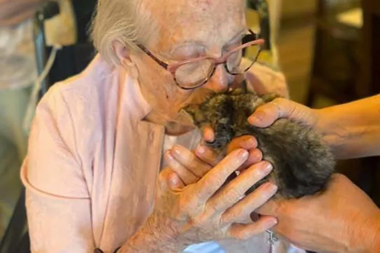 senior-in-pink-with-kitten-hero-2000-c005a49649714494aaa6c769f03fbd2d